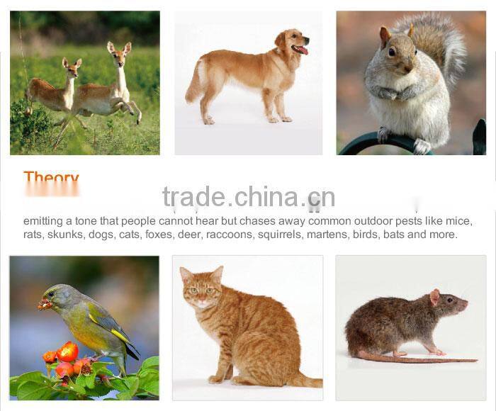 GH-501 Newest solar alarm bird animal control
