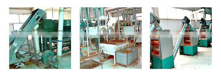 Chinese Dry Red Chili for Wholesale