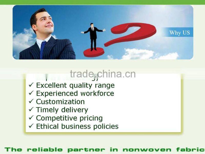 Customized Logo PP Non woven/ Non-woven Fabric Bag, Nonwoven Fabric Raw Material for Bag Making