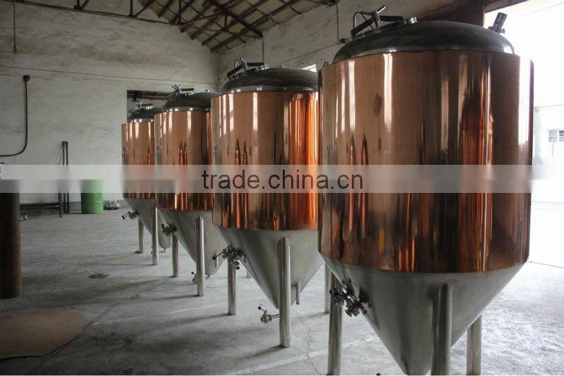 500L stainless steel beer fermenters tanks