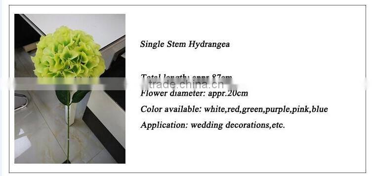 White House plants Hydrangea for wedding