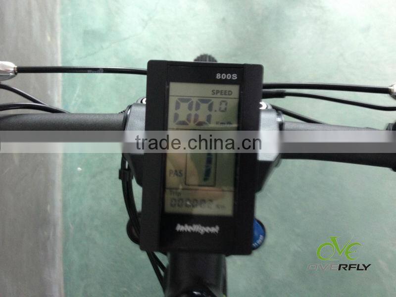 250 W rear brushless motor bike mountain electric bike XY-TDE05Z