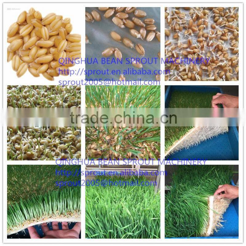 hyropolics fodder machine