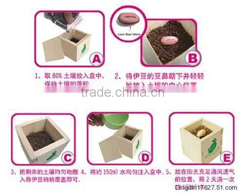 quality products magic growing message beans, custom message bean