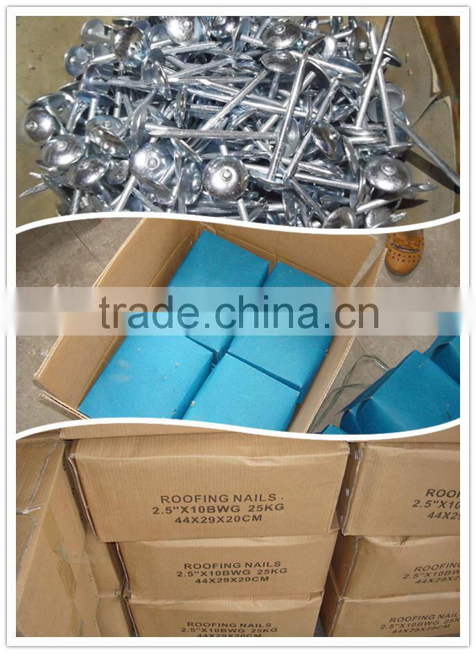 hot sale Umbrella head roofing nails from direct factory