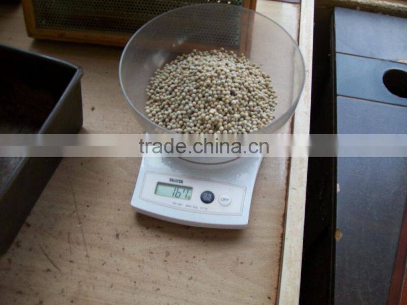 VIETNAM PINHEAD PEPPER