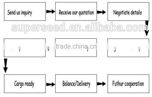 Chocolate Cherry Sponge Cake Towel