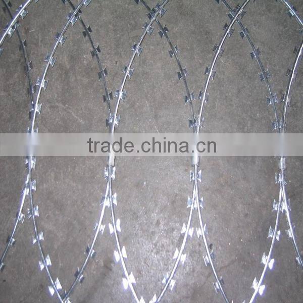 ISO9001 Silver elec-galvanized barbed wire fence for Private Area