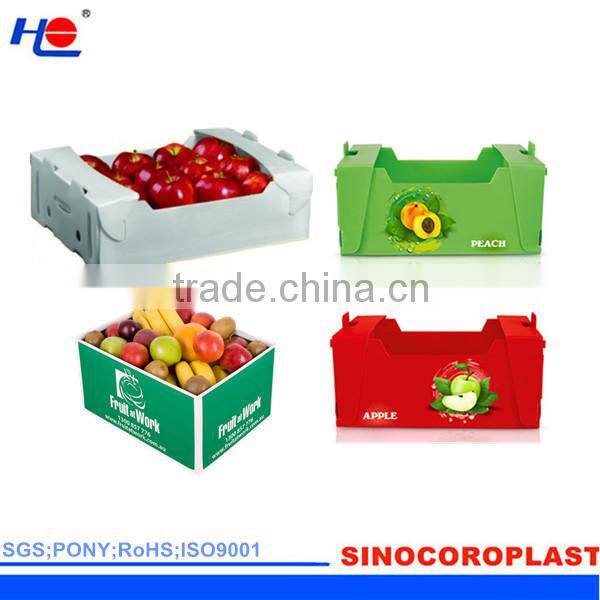 Foldable Plastic Fruit Box
