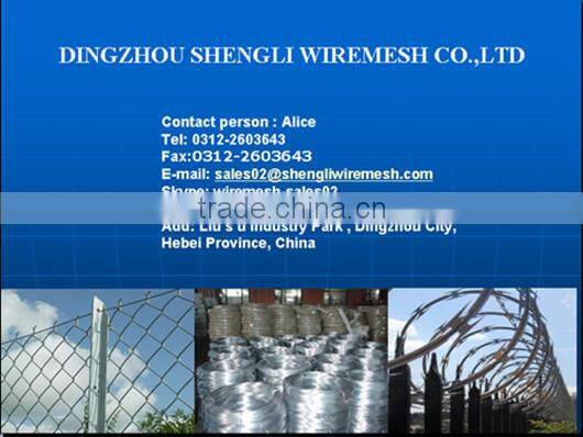 common iron nail (factory)