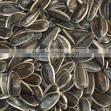 sunflower seeds
