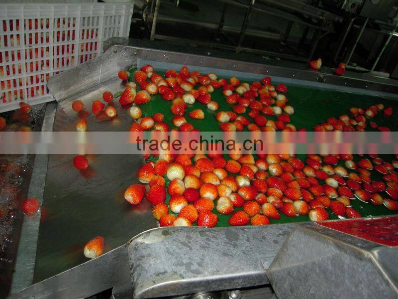 frozen fresh strawberry