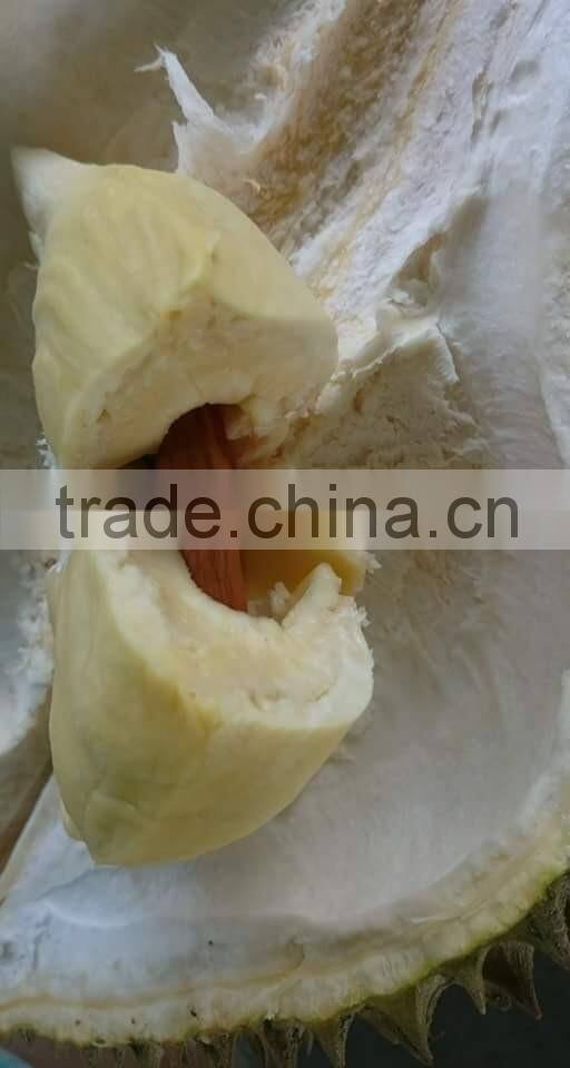 VIET NAM DURIAN- monthong durian