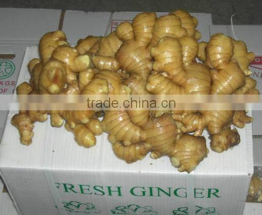 market price for ginger