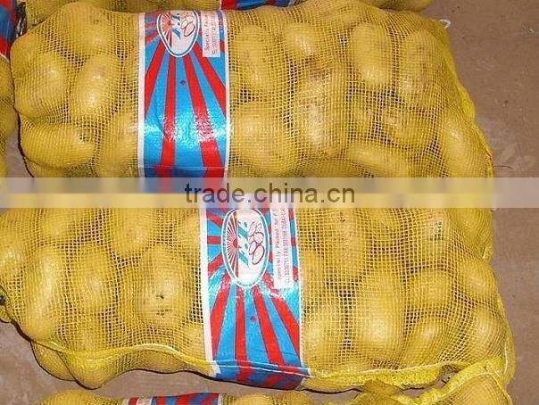 Fresh Holland Potato Bulk on Hot Selling