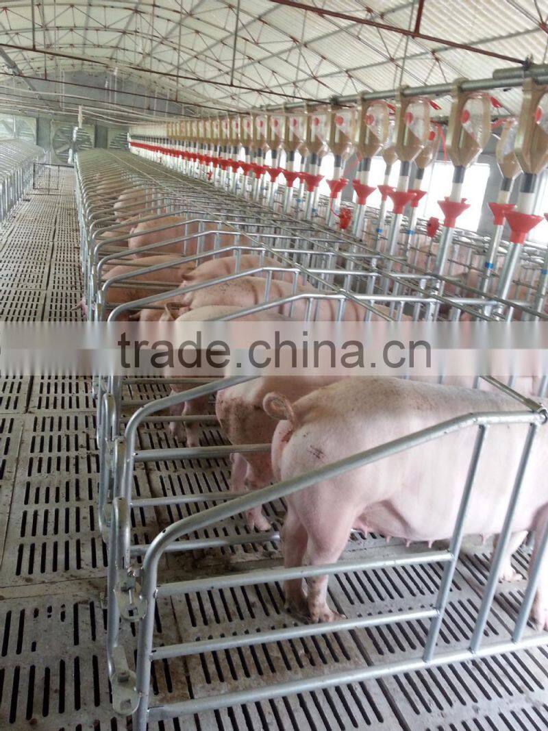 Piggery Gestation pens/farrowing crates/nursery pens|automatic pig farming equipment
