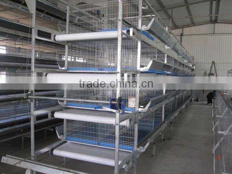uganda poultry farm automatic chicken layer cage