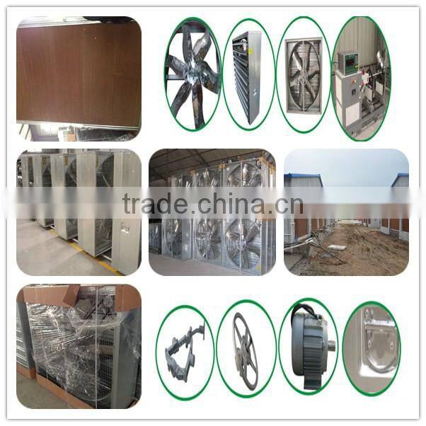 China made chicken cage competitive poultry equipment price