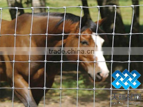 grassland sheep mesh wire fencing/cow fence/field fence factory direct supply