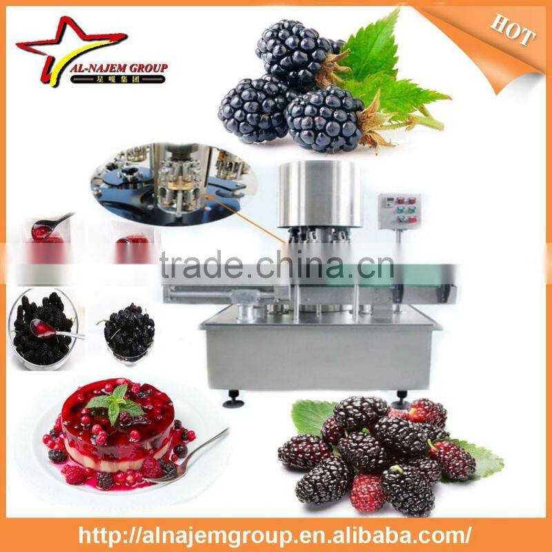 Best sale Full automatic industrial mulberry jam maker machine high viscosity Production Line mulberry paste