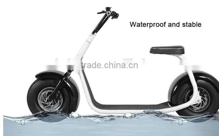 Newest popular citycoco 800W Electric Scooter/brushless motor scooter/ widen tire scooter (TKE-S800)