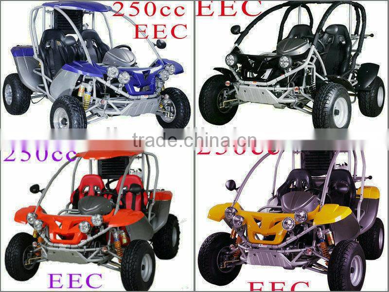 RENLI 250cc adult pedal go kart