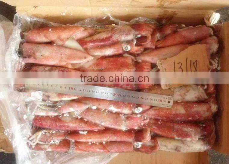Frozen whole round red squid