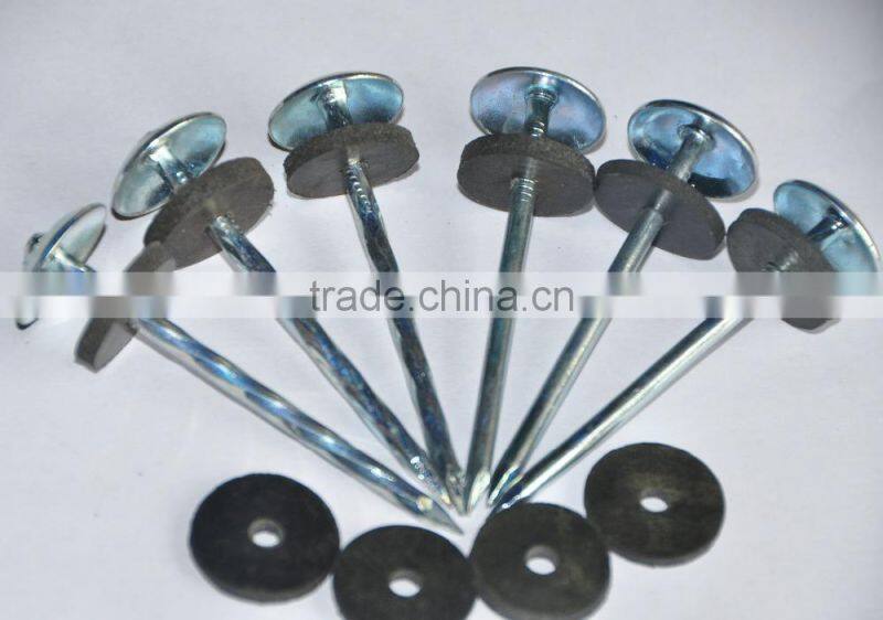 Galvanised/zinc plated umbrella roofing nails