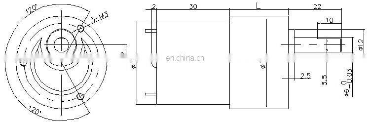 S219 5W Low RPM high torque brushed 24v dc geared electric motors