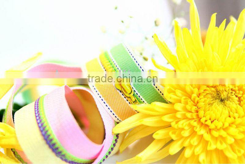 High Quality No.5 Open End colorful Vislon Zipper