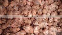 Fresh trimmed/undrimmed coconut