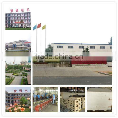 Hot sale High quality vibrator motor