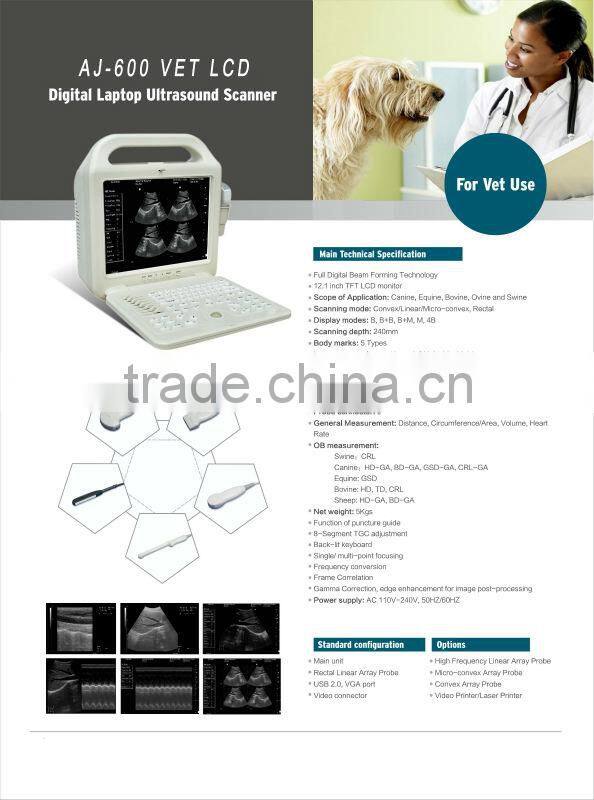 For Vet Use/Veterinary /Animals Digital Ultrasound Scanner AJ-600VET/Convex Array Probe/Linear Probe/ Intra-cavity Probe