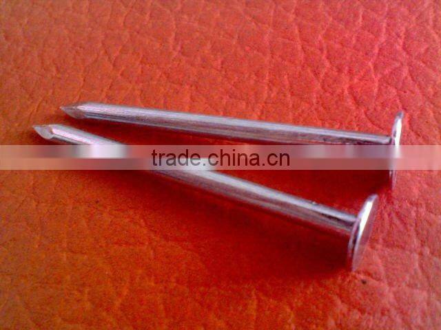 low price galvanized clout nails factory