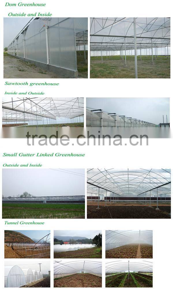 Agricultural Plastic Houses