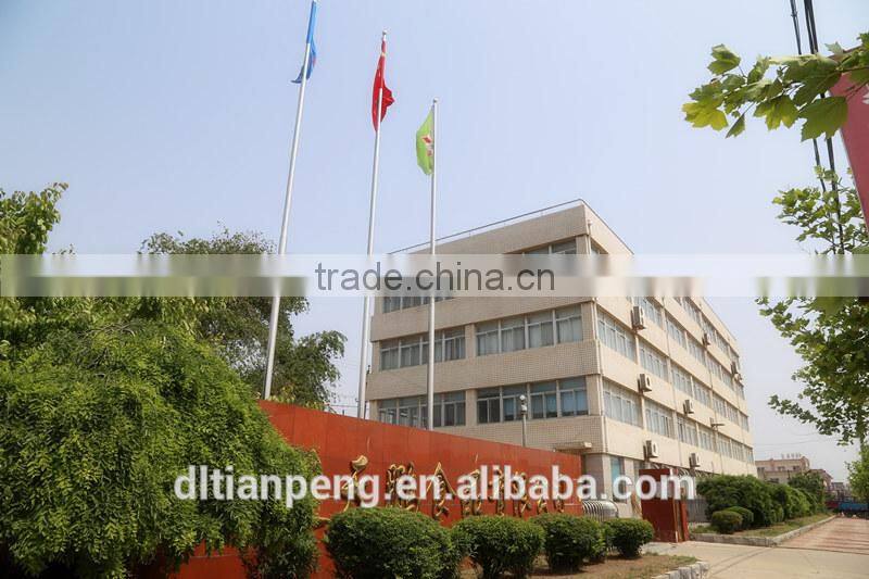 Outstanding Promotion Japanese curry cube with 100g from China