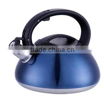 Stainless Steel Cookware Whistling Tea Kettle With Colorful Painting