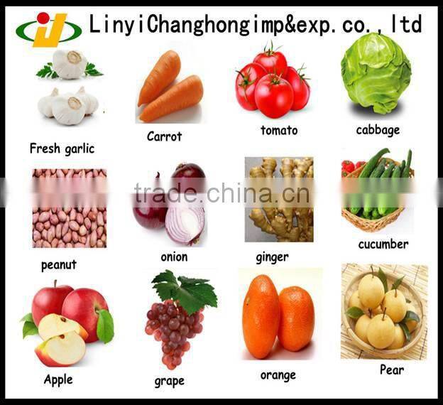 China Fresh ginger and Garlic for Brazil and Amerca