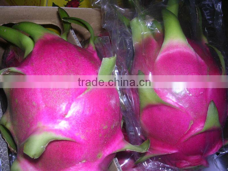 Fresh Dragon Fruit (dragon fruit)