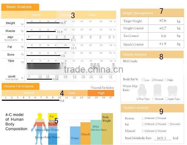 Professional Body Composition Analyzer with Medical CE