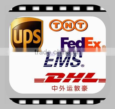 Good quality Promtional gifts customer logo colorful Apple shape memo clips