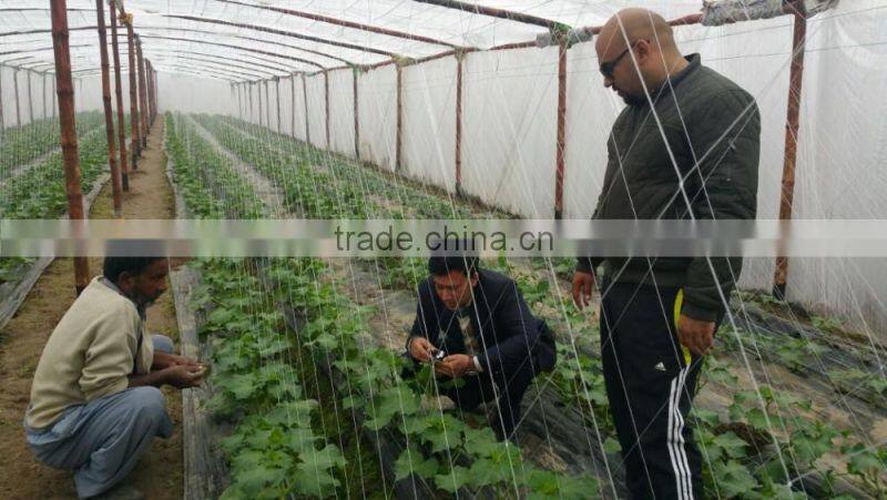 high quality HDPE knotted plant climbing BOP net/trellis knotted BOP plant support net