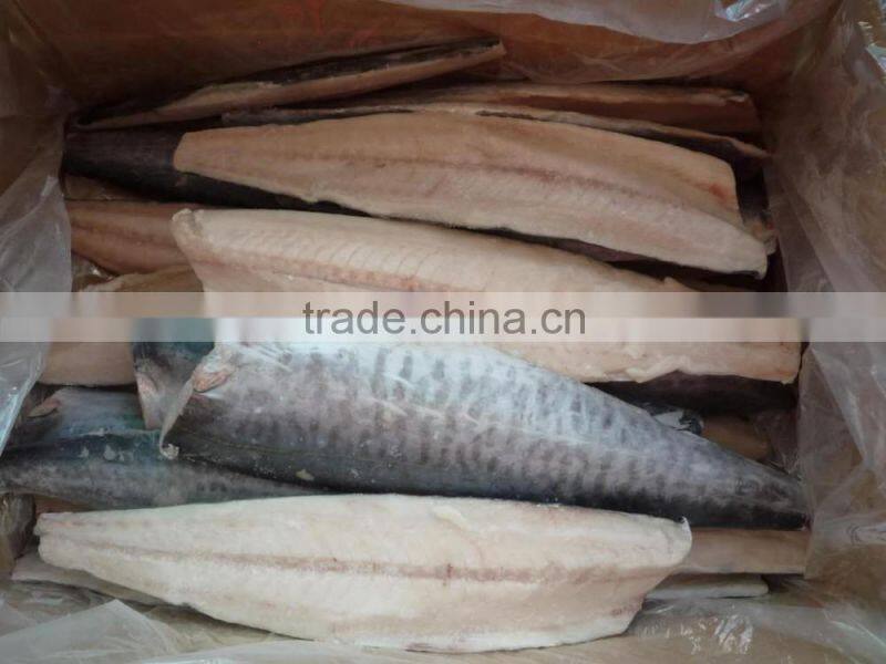 Spanish mackerel Fillet/King Fish meat