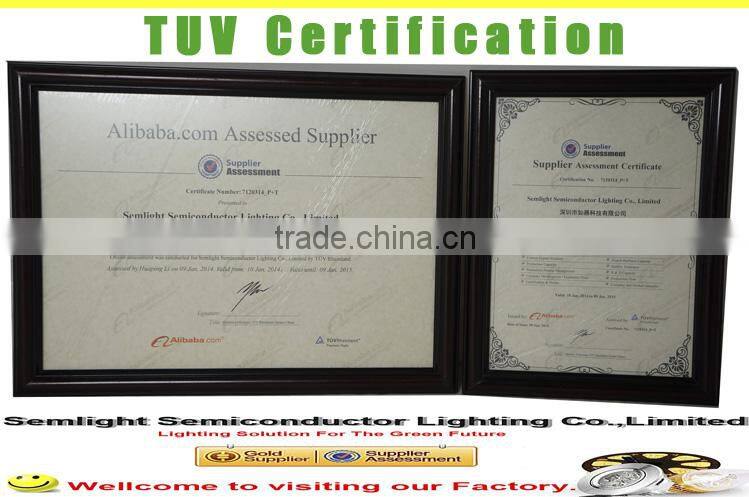 CE RoHS Led Lamp Cob Led Downlighting Factory 100W Led Gas Station Lamp