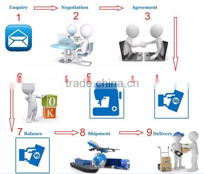 Customized Giant Inflatable Dry Slide with Safety