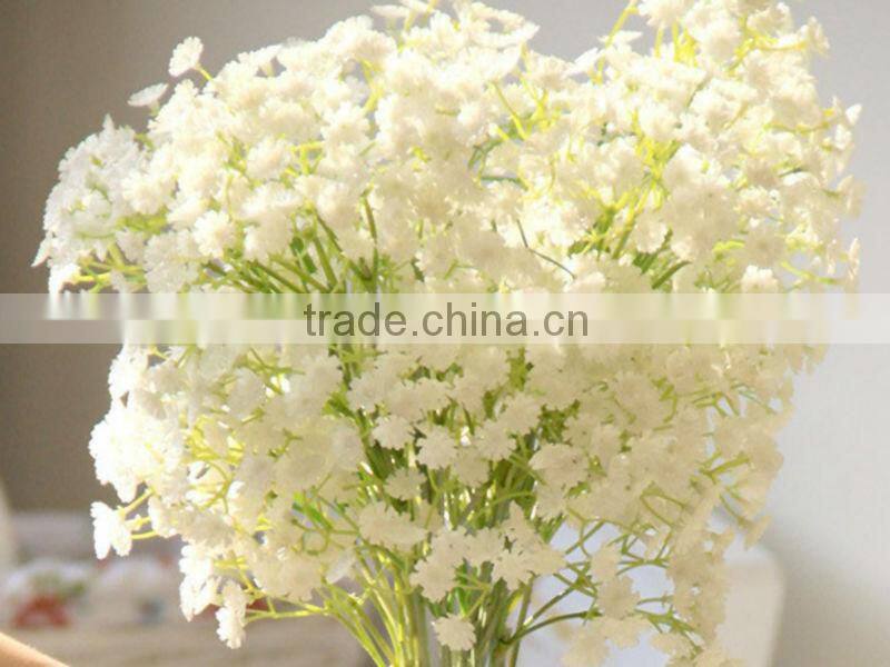 Top Quality White Pink Babys breath Seeds Gypsophila Seeds For Landscape