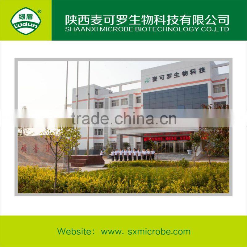 Paddy Fungicide Rice blast Validamycin TC