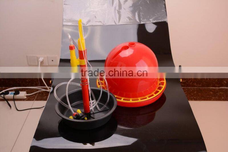 automatic poultry farming system for chickens plasson bell drinkers