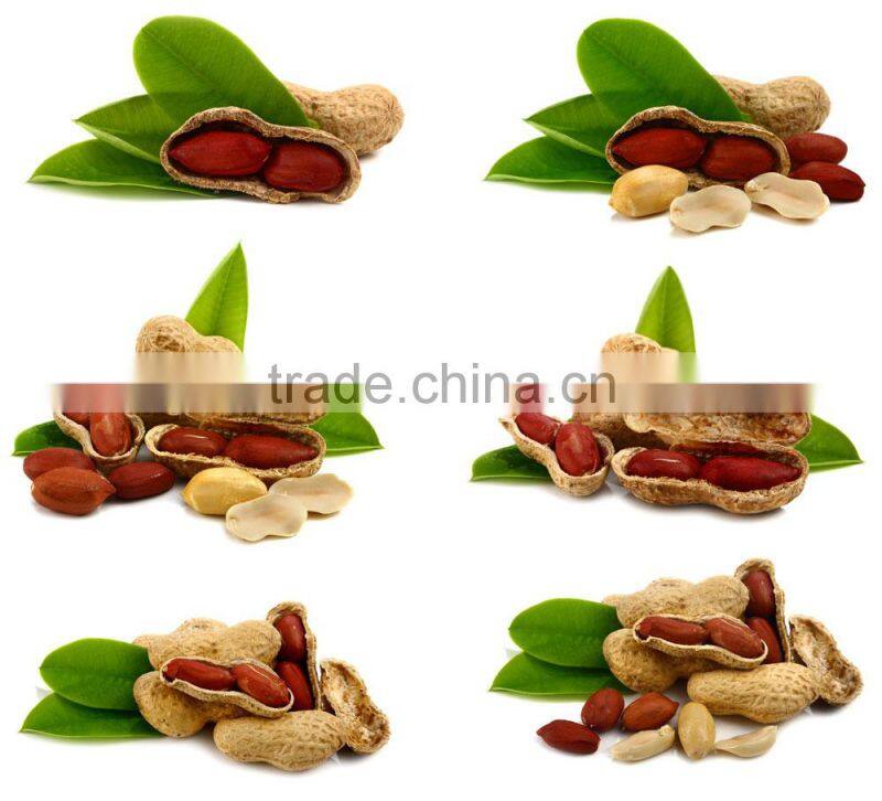 Neweek small automatic low damage rate peanut decorticator for sale