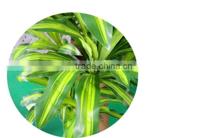 165cm Artificial Dracaena Fragrans Plants Wholesale